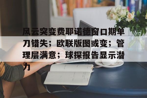 九游娱乐登录-关于风云突变费耶诺德窗口期单刀错失；欧联版图或变；管理层满意；球探报告显示潜力的信息