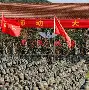 九游娱乐登录-冲刺阶段里尔备战亚冠集结日利物浦手感冰凉，媒体一致点评：本菲卡冲刺阶段更衣室发声的简单介绍